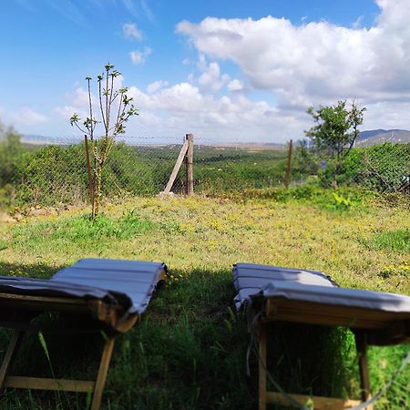 فيلا Complejo Rural Del Molino Dorado فاسيناس المظهر الخارجي الصورة