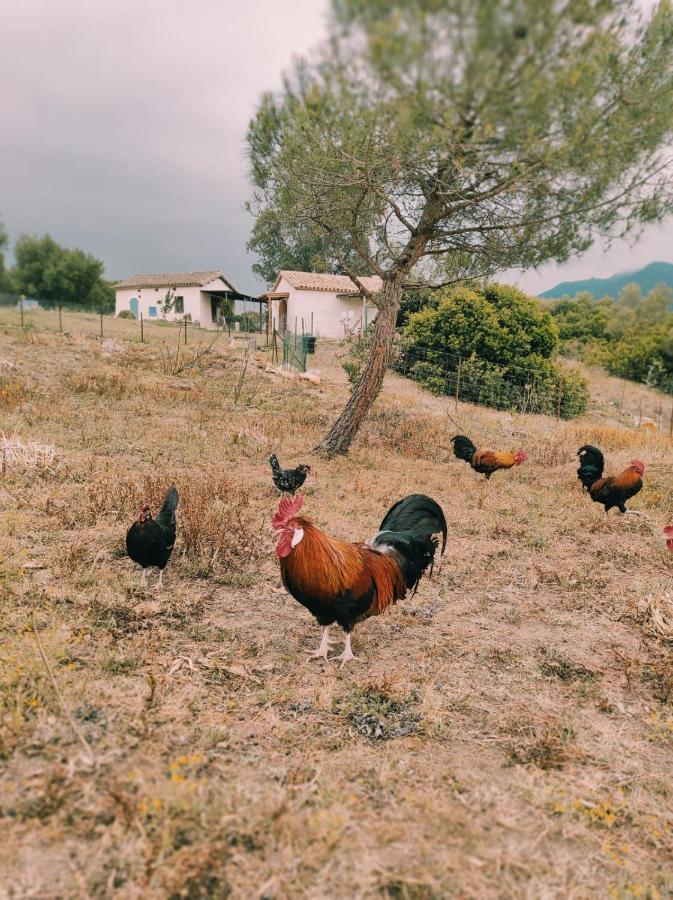 فيلا Complejo Rural Del Molino Dorado فاسيناس المظهر الخارجي الصورة