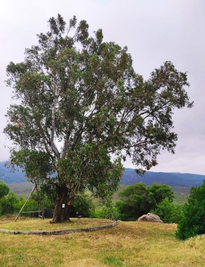 فيلا Complejo Rural Del Molino Dorado فاسيناس المظهر الخارجي الصورة